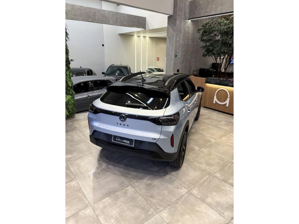 Volkswagen Tera